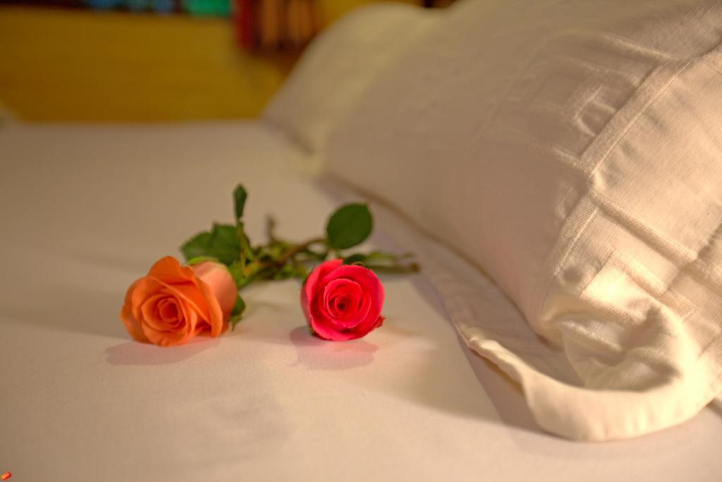 Hotel Hacienda La Carriona à Sangolquí Extérieur photo